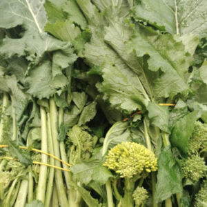 Cime di rapa locali
