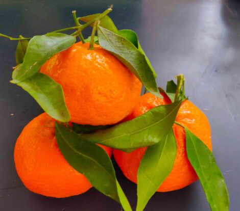 Mandarini senza semi