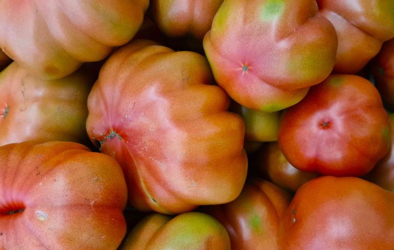 Pomodoro Pera abruzzese: varietà antica e preziosa