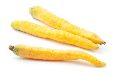 carote gialle